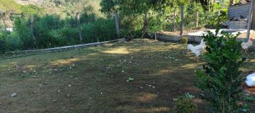 IMG-20240410-WA0071