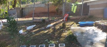 IMG-20240410-WA0072