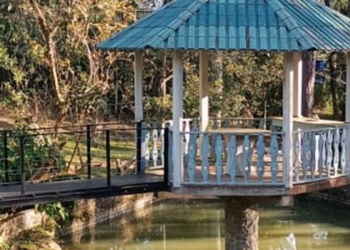 Screenshot_20240806_045054_WhatsApp