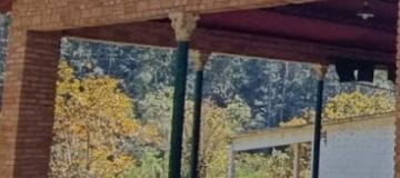 Screenshot_20240806_050348_WhatsApp