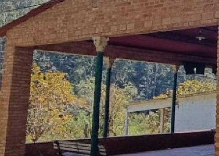 Screenshot_20240806_050348_WhatsApp