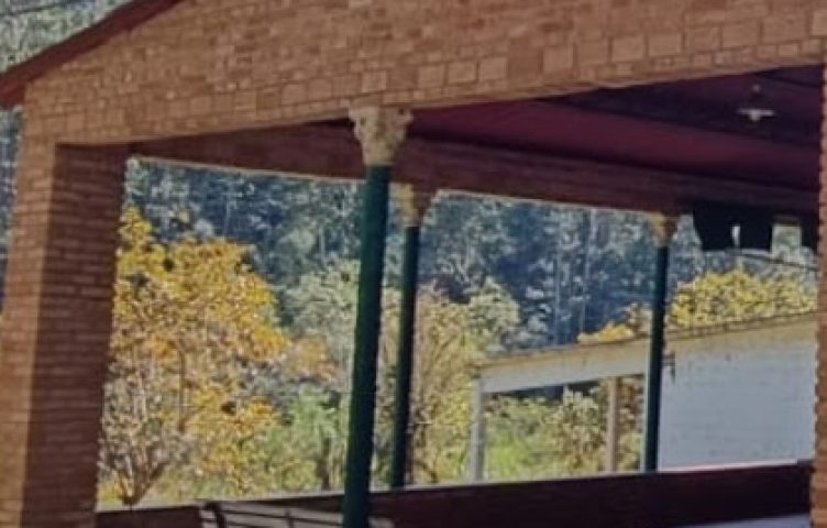 Screenshot_20240806_050348_WhatsApp