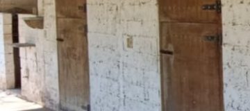 Screenshot_20240806_050545_WhatsApp