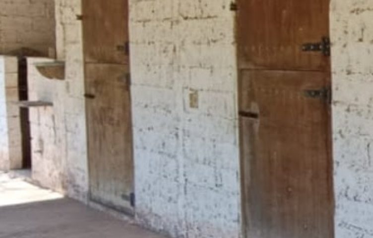 Screenshot_20240806_050545_WhatsApp